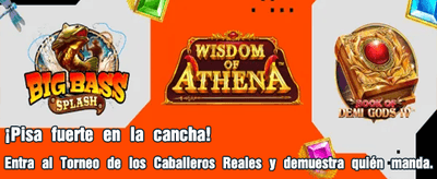 Carga Rápida y Segura